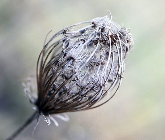 Co możemy zrobić z bibuły?