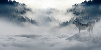 Czy zimą można nosić białe spodnie?