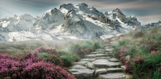 Czy chodzenie po górach to sport?