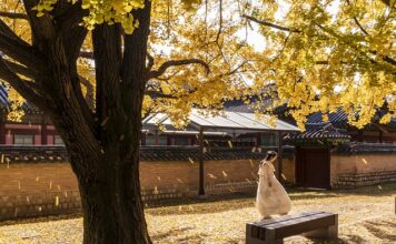 Kiedy zakazano igrzysk olimpijskich?