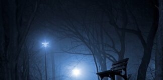 W czym Polska jest najlepsza w sporcie?