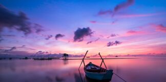 Jaki kolor majtek pod białe spodnie?