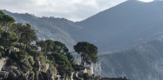 Ile kosztuje spinka do łańcucha rowerowego?