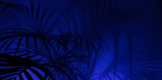 Jakie legginsy na fitness damskie?